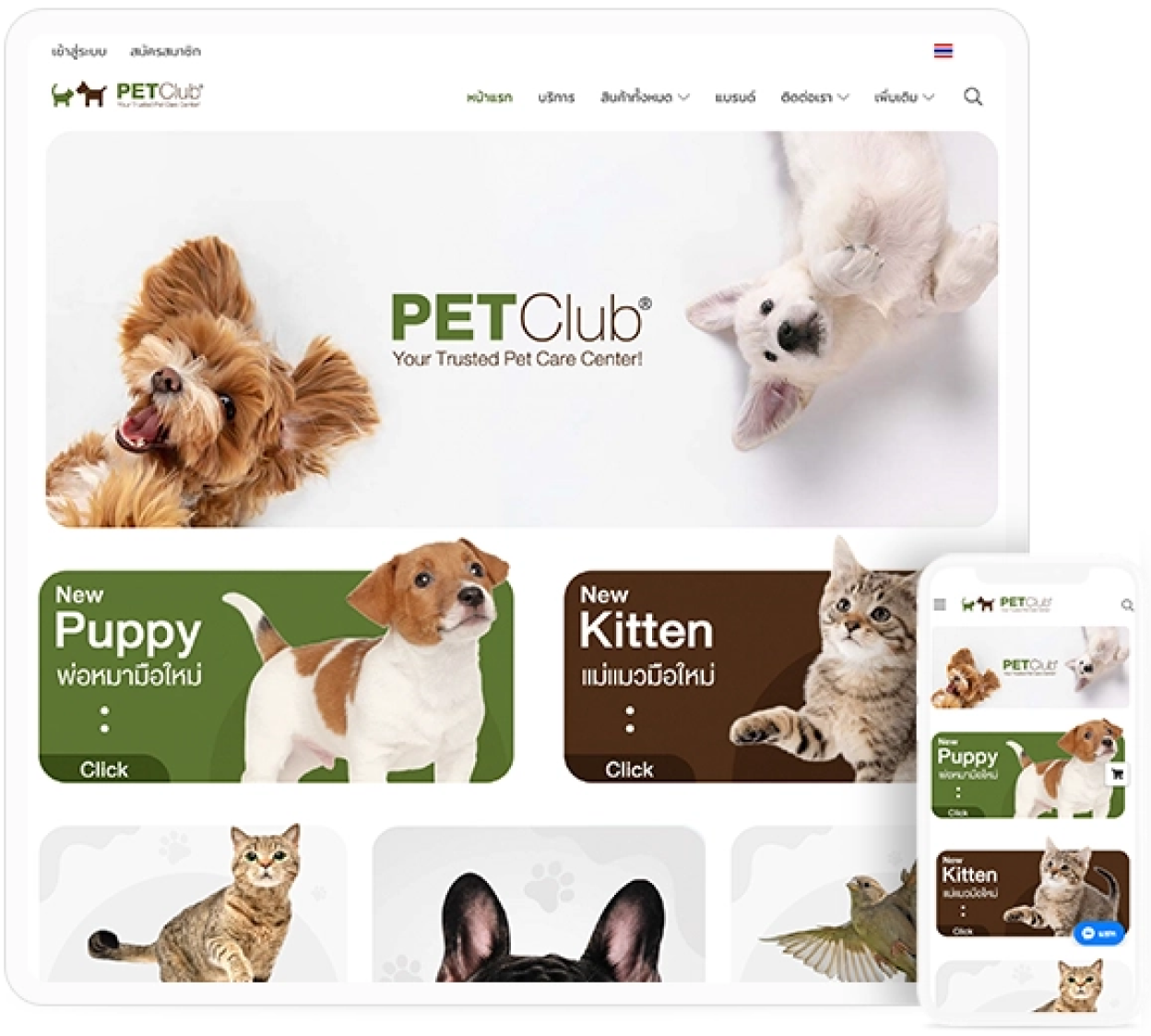 out door furniture thailand